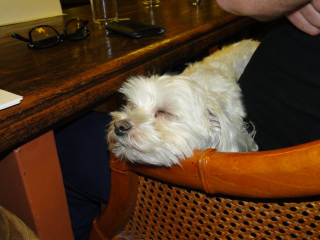NWK 2012 068.jpg